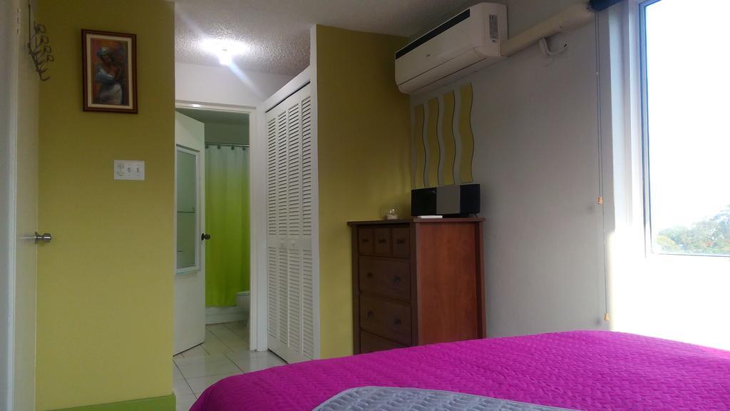 Hylton New Kingston Apartment Cameră foto