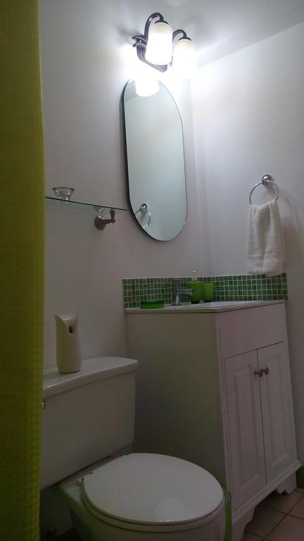 Hylton New Kingston Apartment Cameră foto