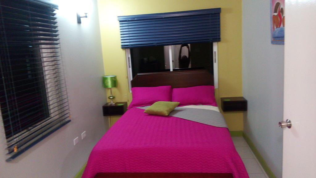 Hylton New Kingston Apartment Cameră foto